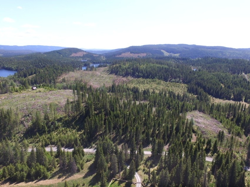 Selgers bilder Galleribilde