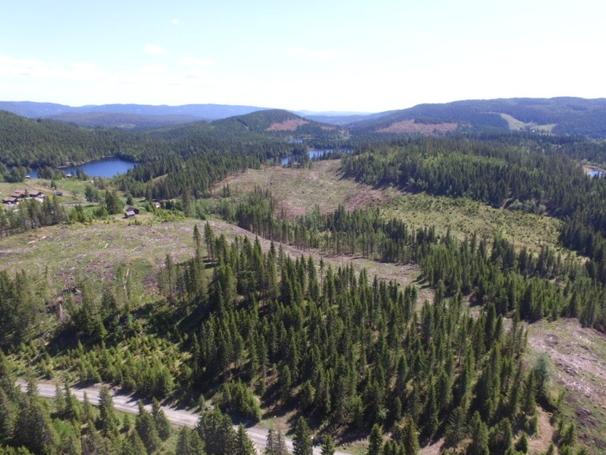 Selgers bilder Galleribilde