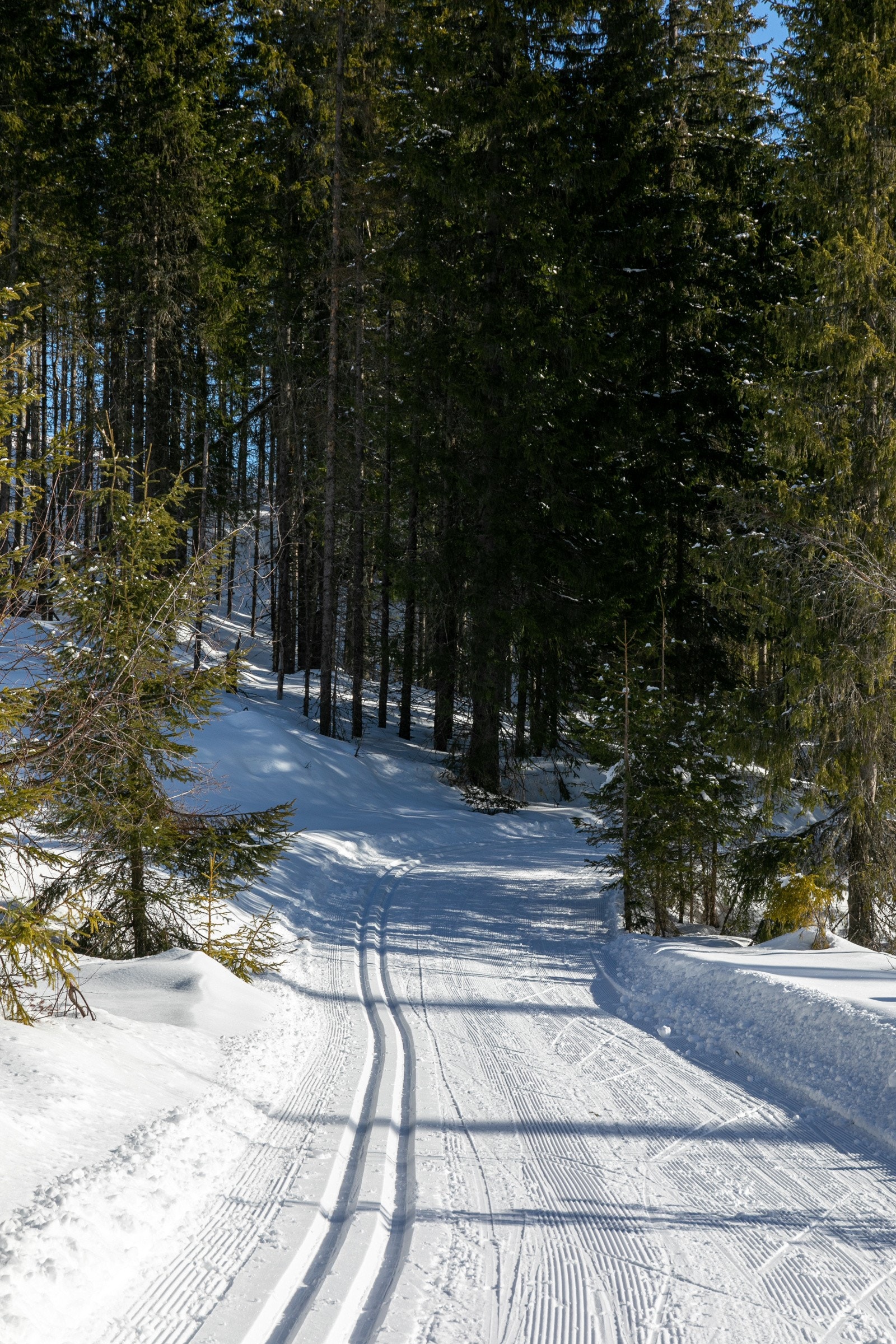 Løypa mot sør går til vannene Belteren og Mylla. Galleribilde
