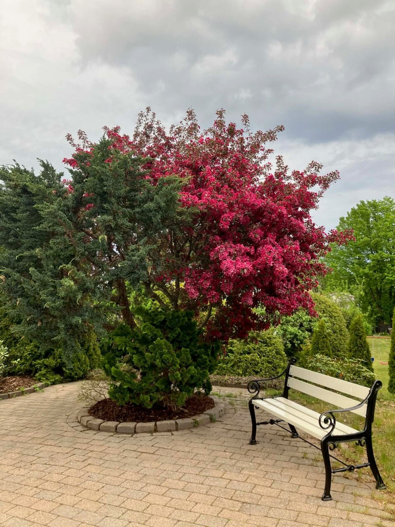 Privat foto Galleribilde