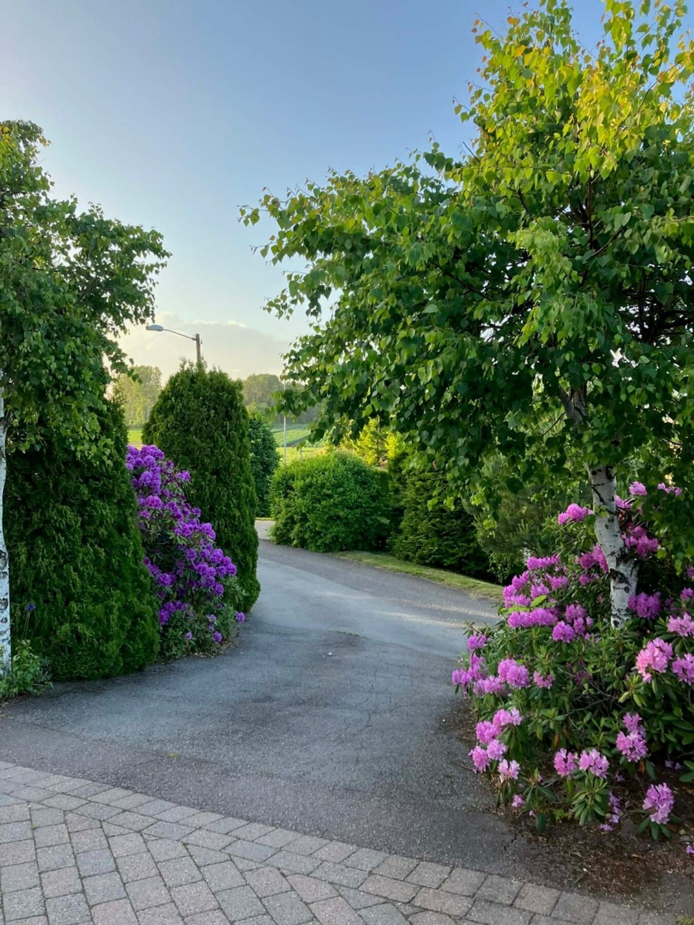 Privat foto Galleribilde