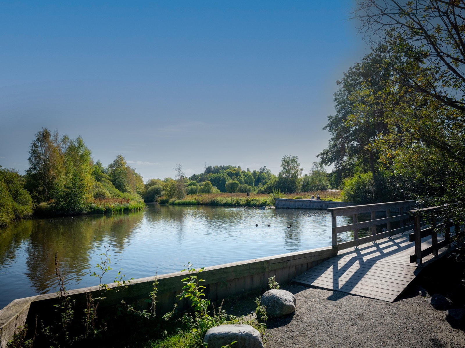 Østensjøvannet er et unikt våtmarksområde og et vernet naturreservat. Turen rundt Østensjøvannet er på ca. 4,5 km Galleribilde