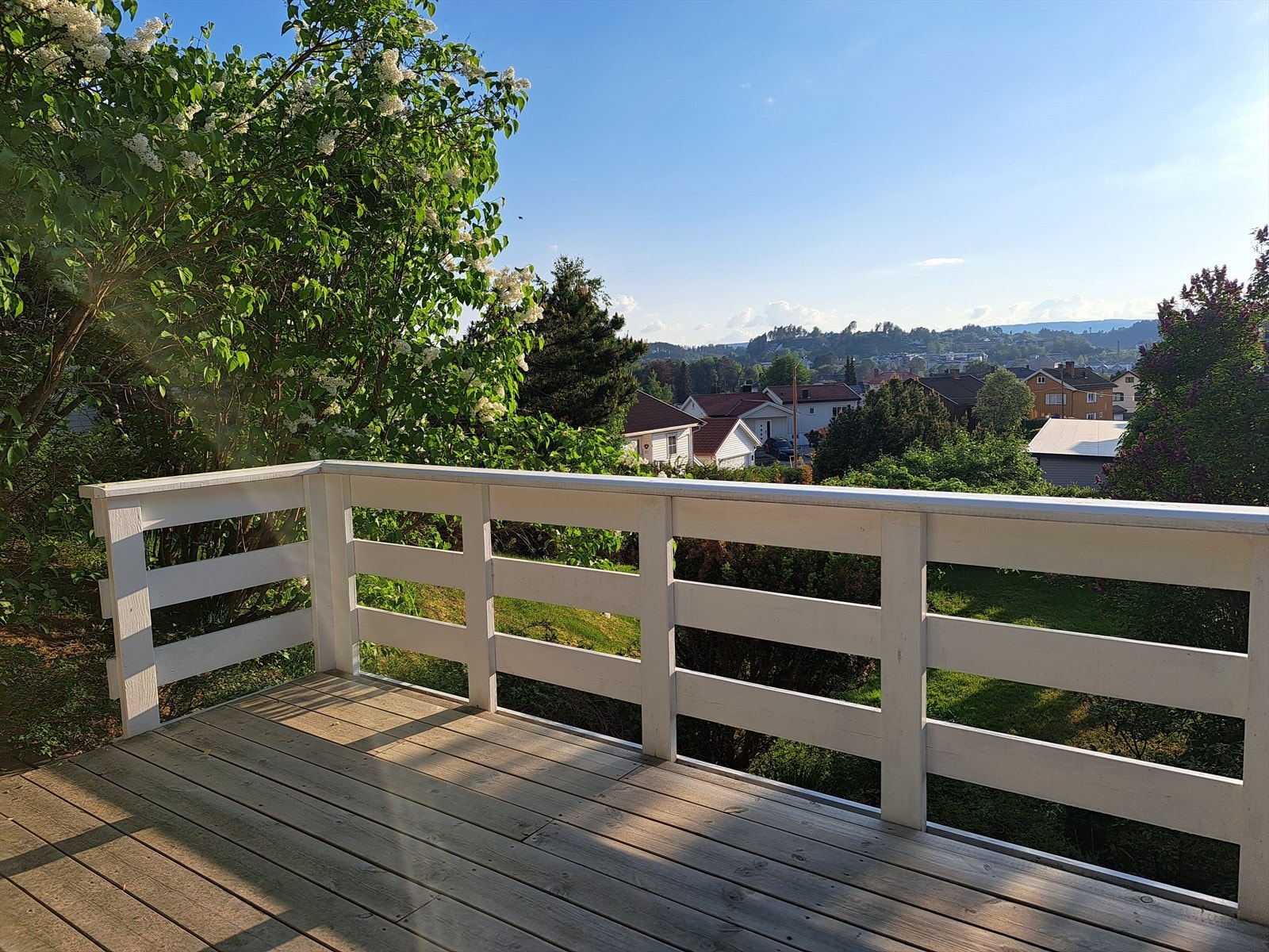 Selgers eget sommerbilde av terrassen: Nydelig utsikt over byen, omgitt av frodige og grønne planter. Galleribilde