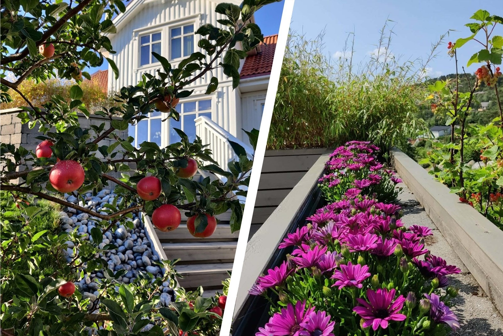 Selgers bilde. Galleribilde