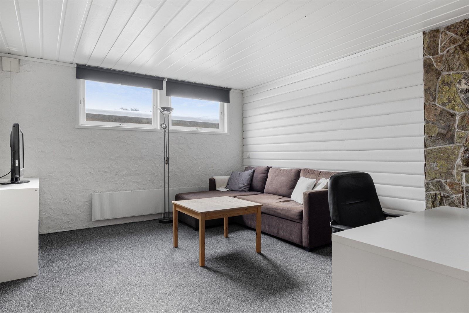 Kjellerstue med teppelagt gulv og vegger med kombinasjon av malt mur og panel. Galleribilde