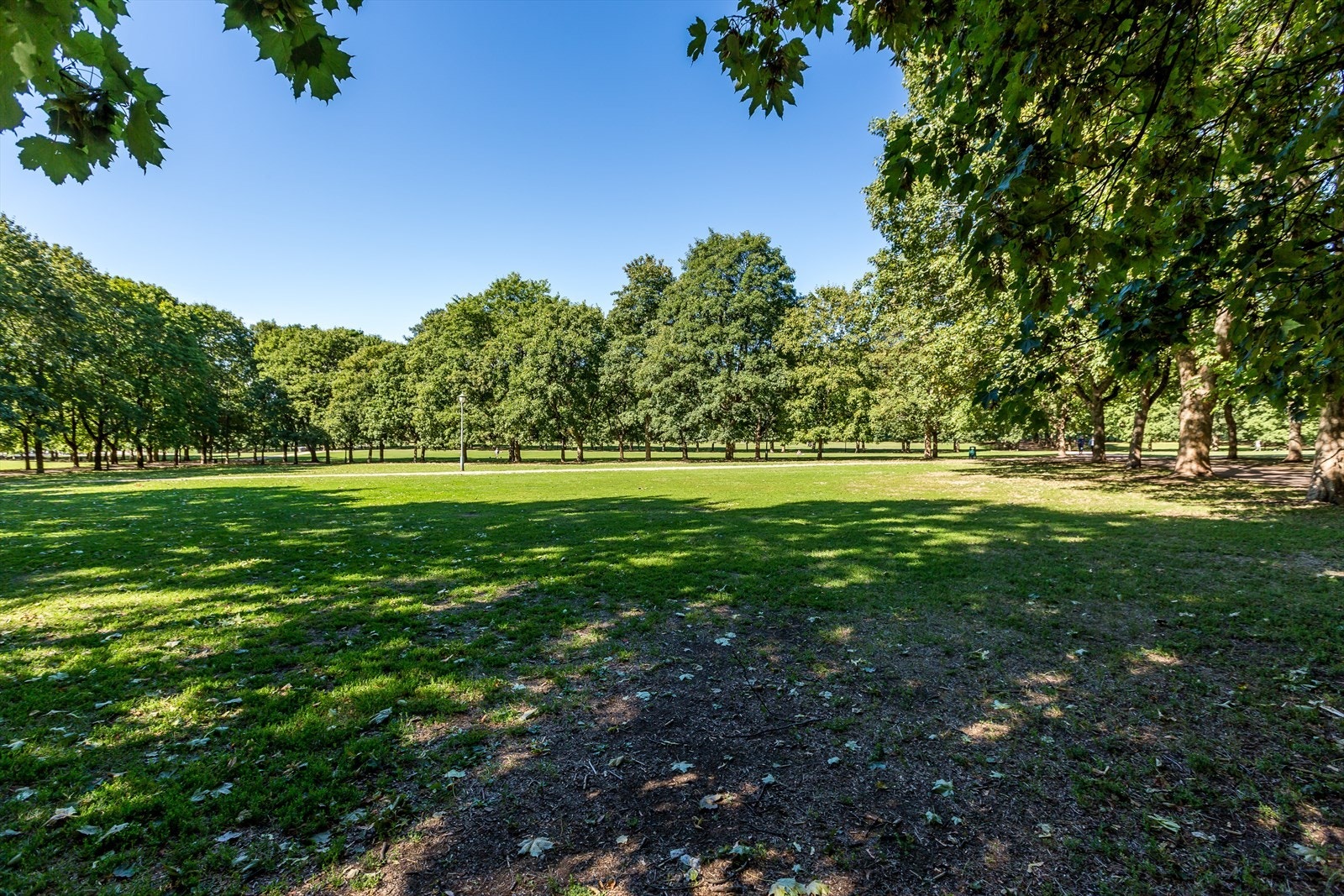 omra defoto-7408.jpg Galleribilde