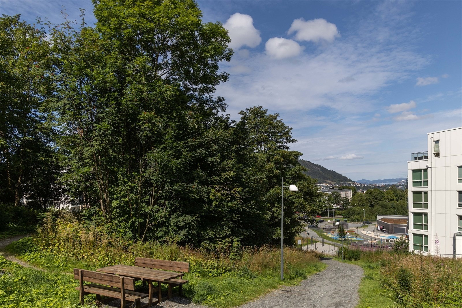 Gangveien fører deg opp til Birkelundstoppen hvor du finner Kiwi, men også sti videre opp til Nattlandsfjellet. Galleribilde