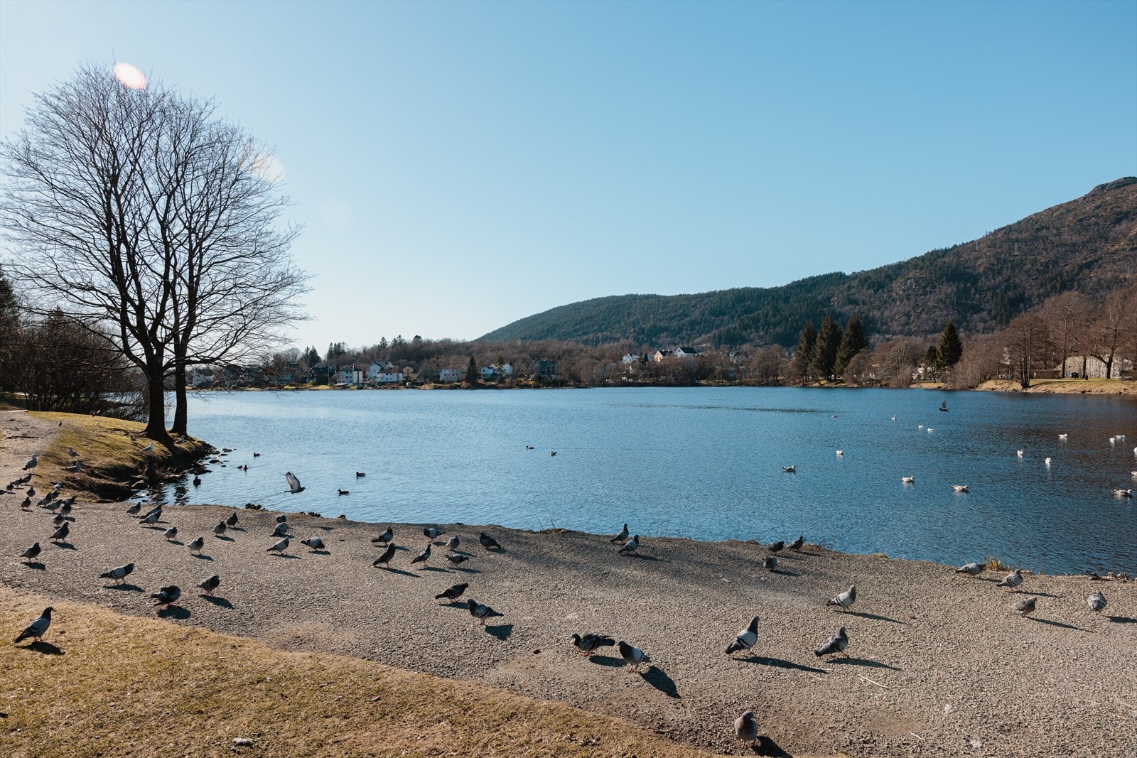 Flotte turmuligheter ved Tveitevatnet, som ligger ca. 20 minutters gange fra boligen Galleribilde