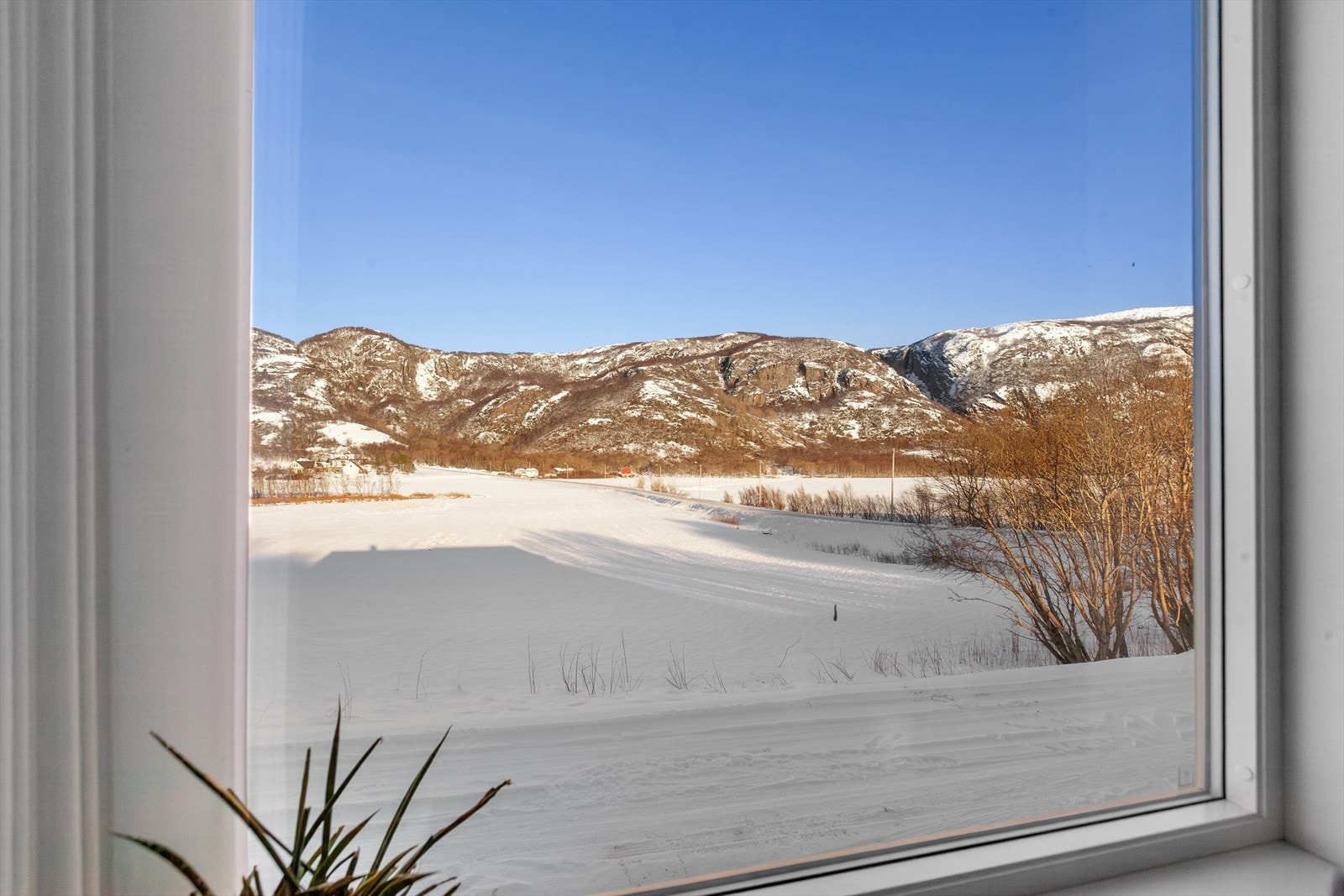 Fra stuen kan man nyte dette frodige landskapet. Galleribilde