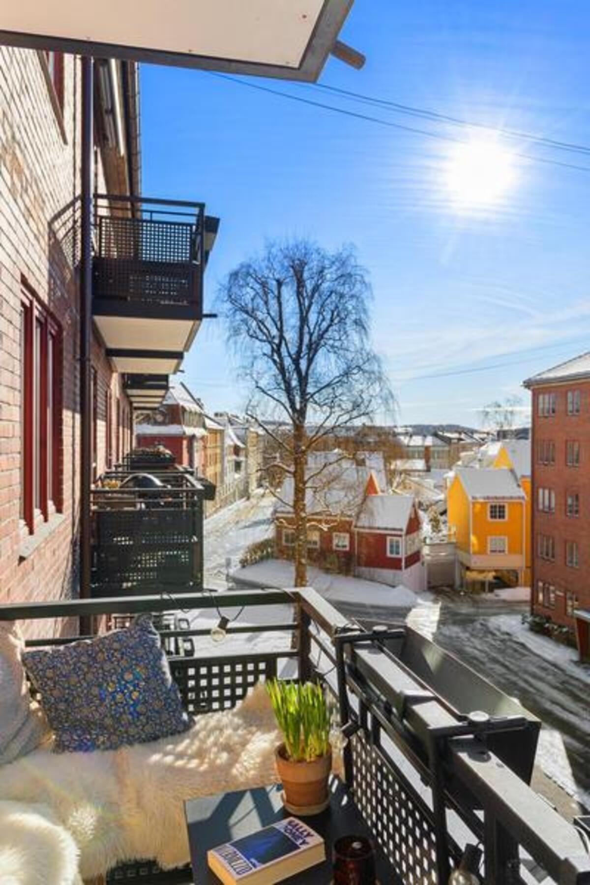 Du titter ut mot den ærverdige trehusbebyggelsen på Torshov. Galleribilde