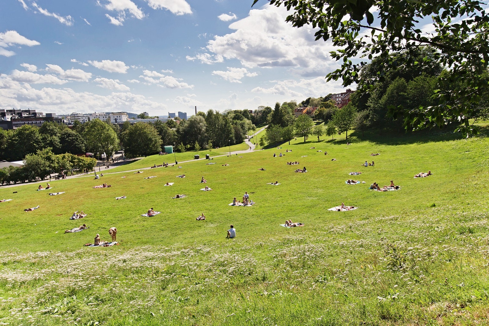 Myraløkka - det er flere grønne lunger i nærområdet. Galleribilde