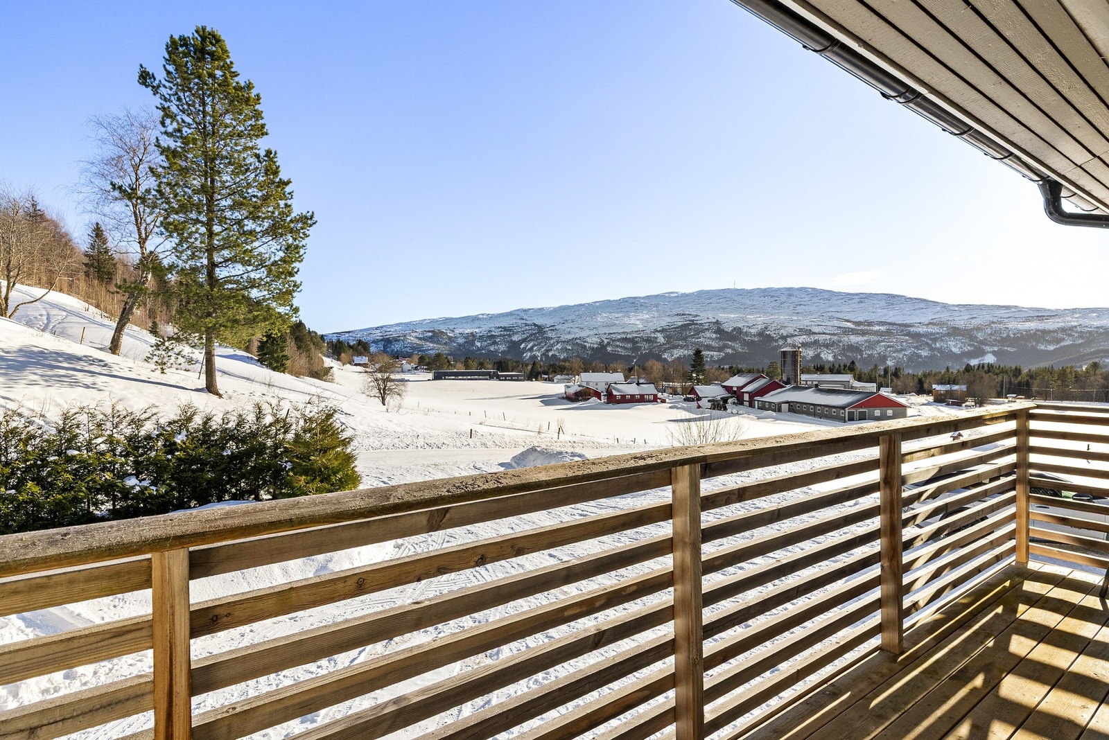 Fine næromgivelser Galleribilde