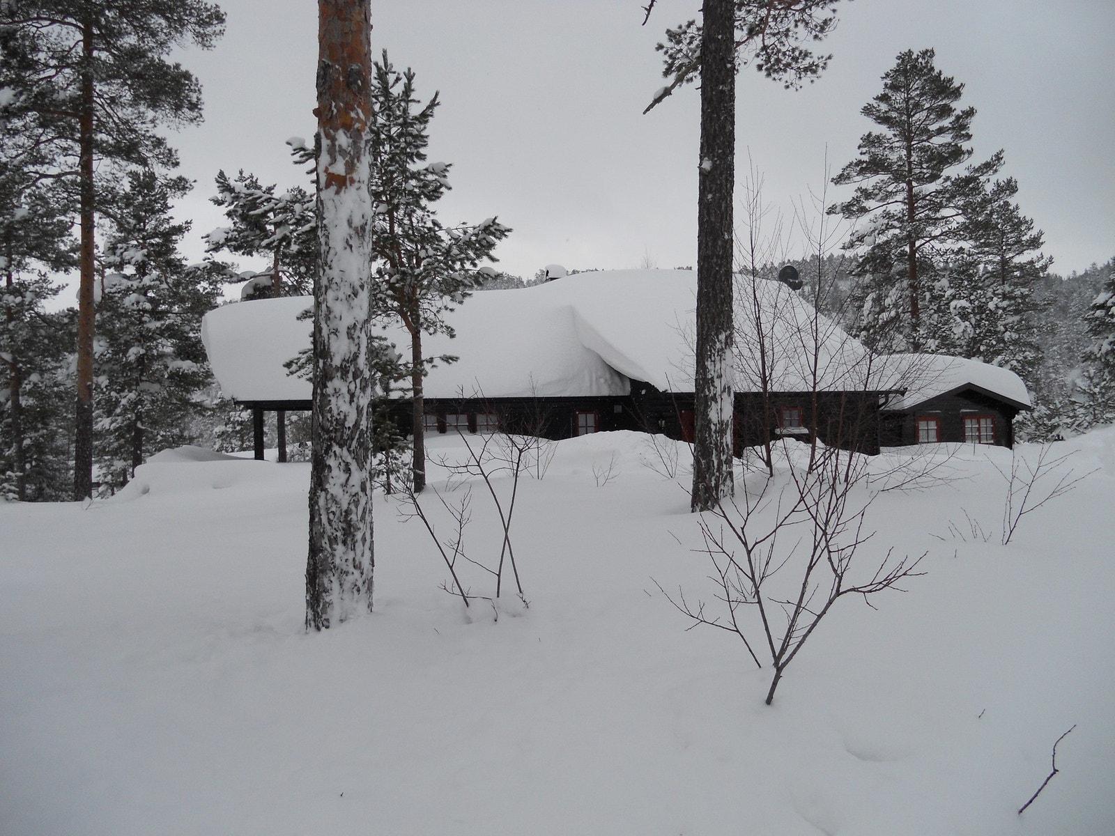 Kveldsstemning. Foto tatt av selger. Galleribilde