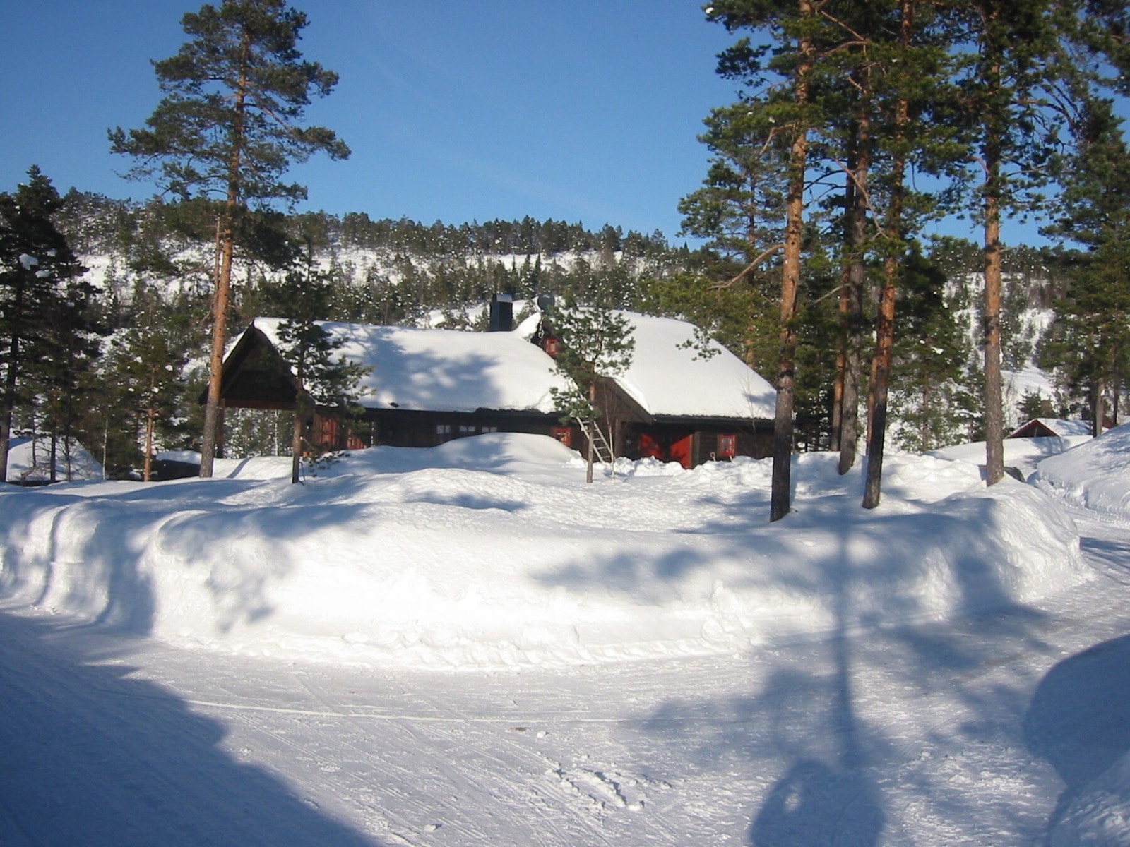 Foto tatt av selger. Galleribilde