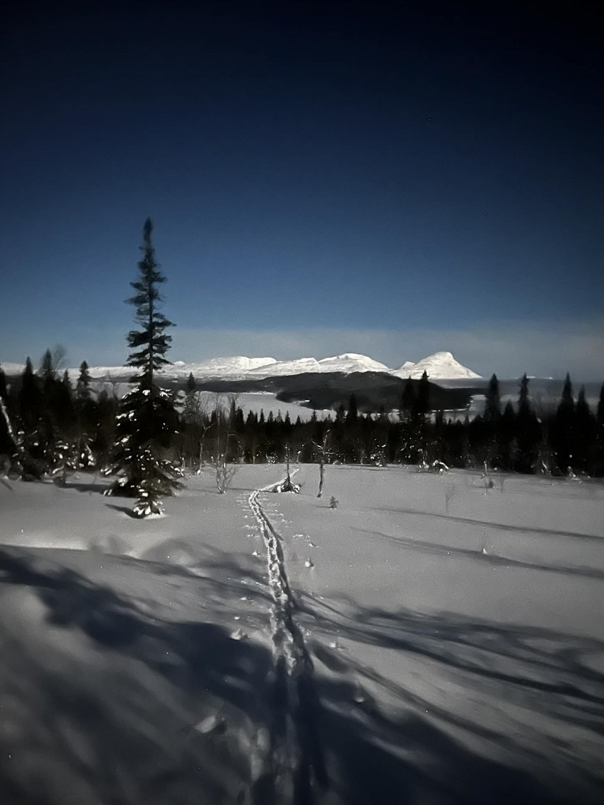 Områdebilde tatt av selger Galleribilde