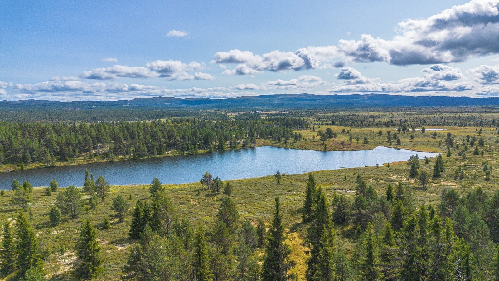 Vakre turområder året rundt Galleribilde