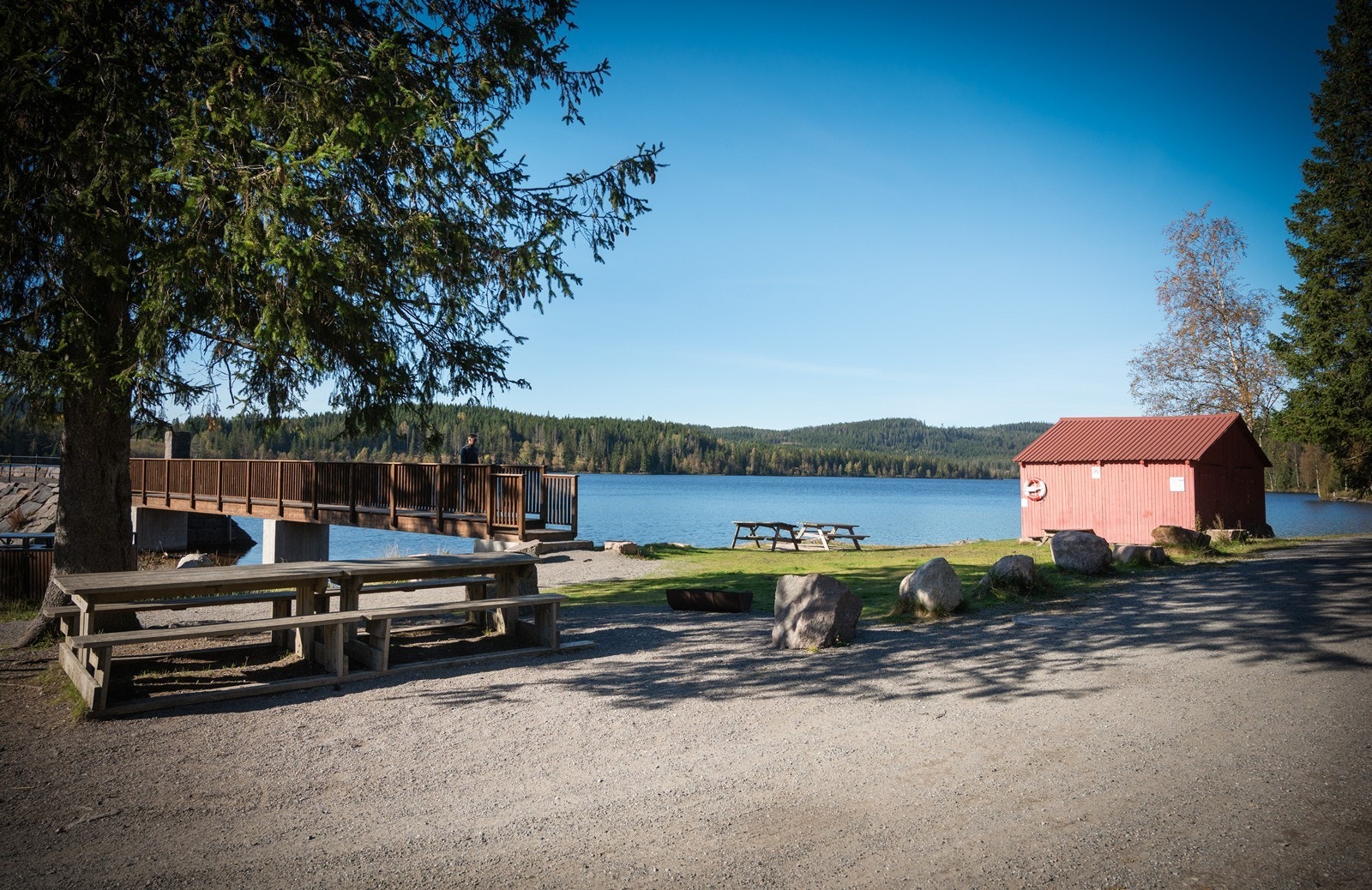 Området nede ved Ørfiske Galleribilde