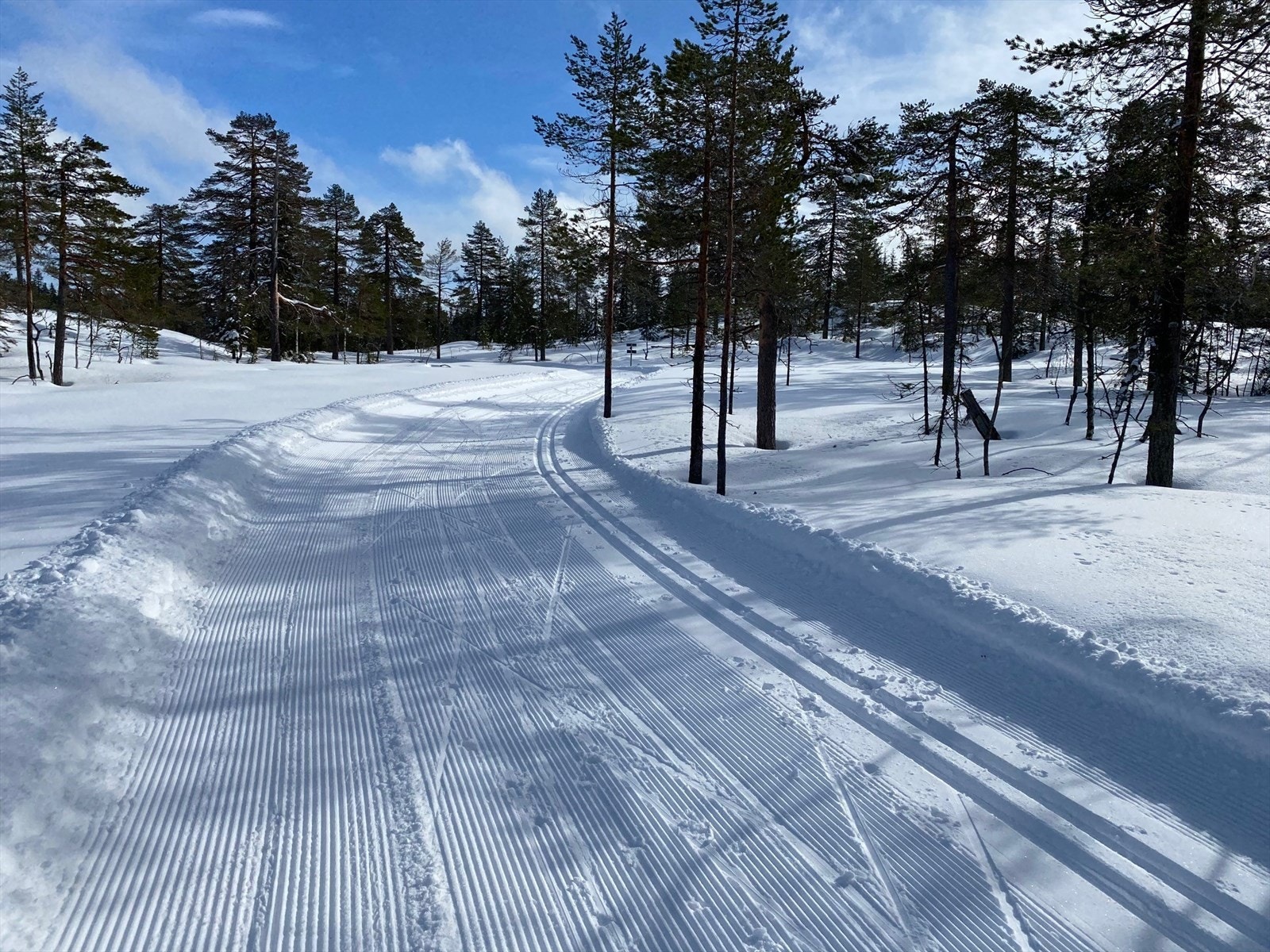 Flotte langrennsmuligheter i området Galleribilde