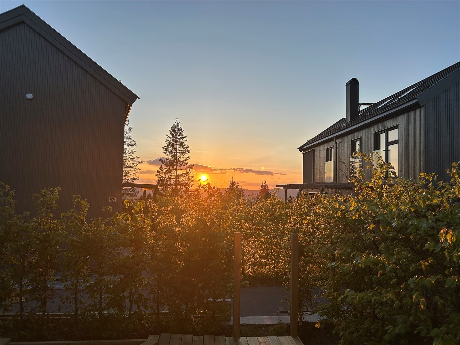 Selgers bilde - sommerstid ved solnedgang Galleribilde