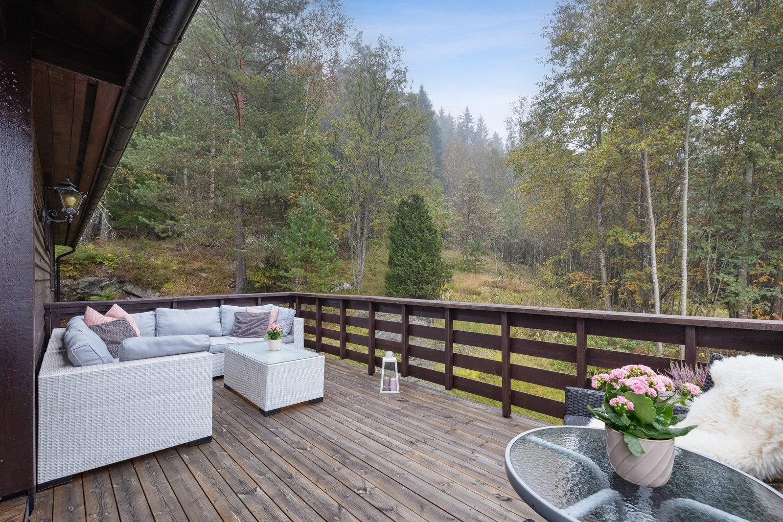 Sommerfoto. Galleribilde