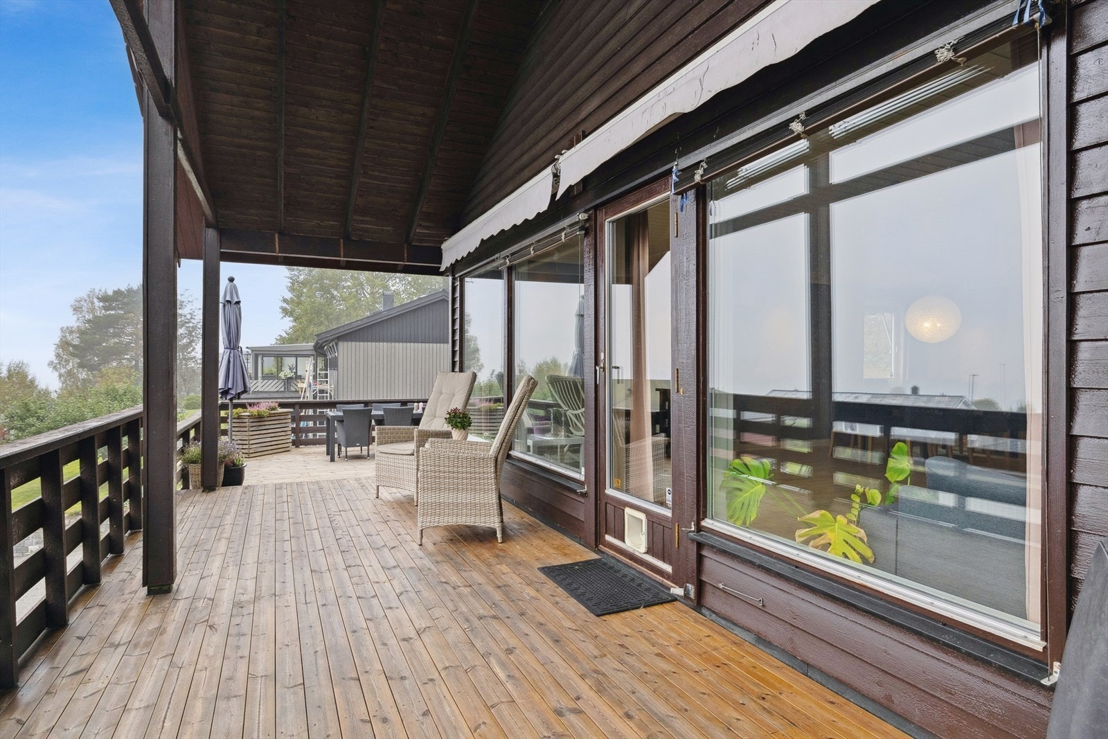 Sommerfoto. Galleribilde