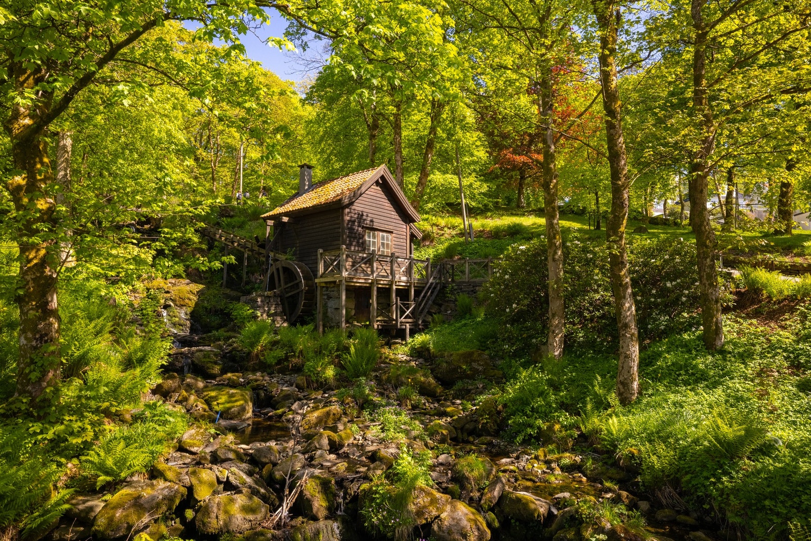 Christieparken er like ved huset. Galleribilde