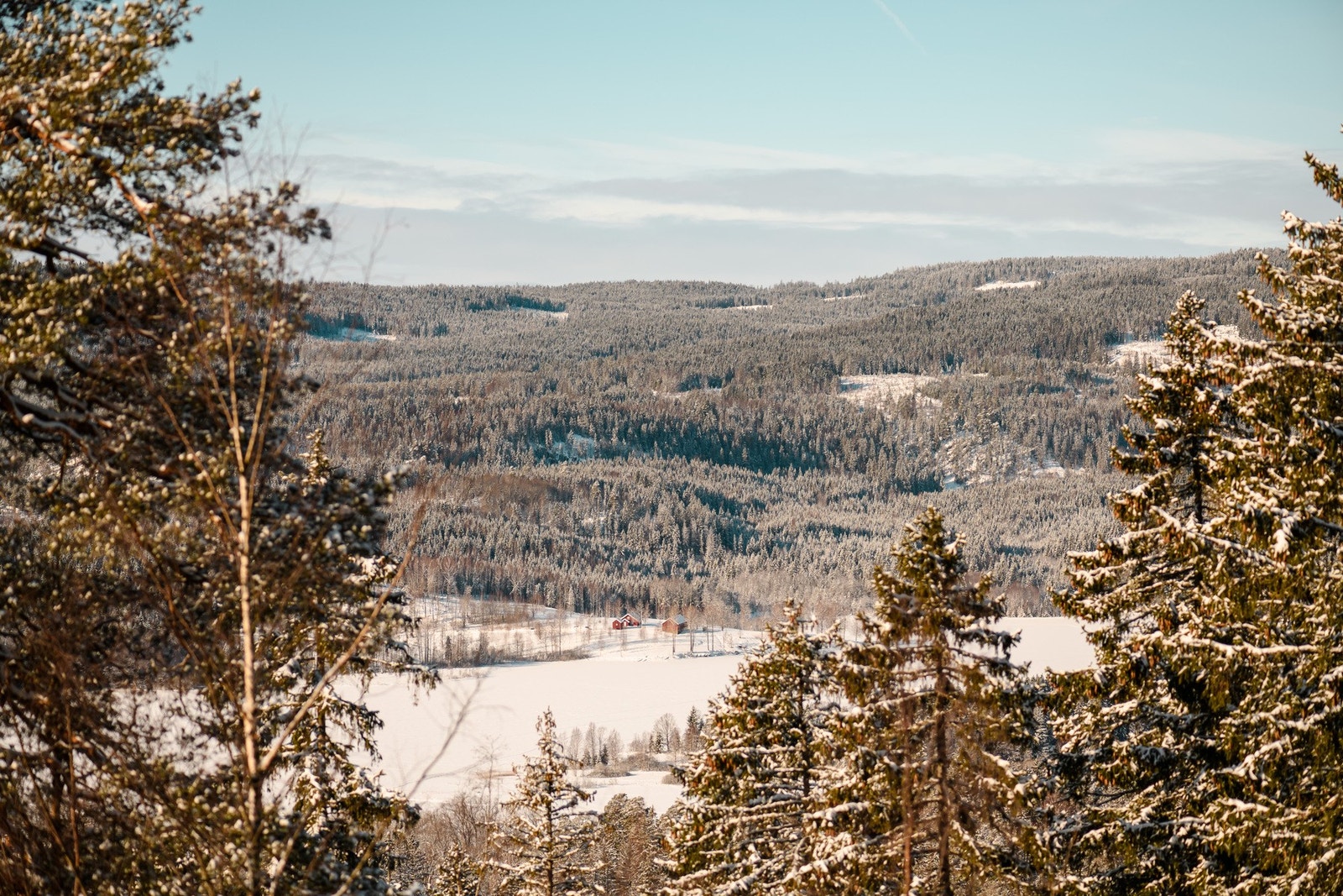 Med Nordmarka som nærmeste nabo har du milevis med turstier og skiløyper rett utenfor. Galleribilde