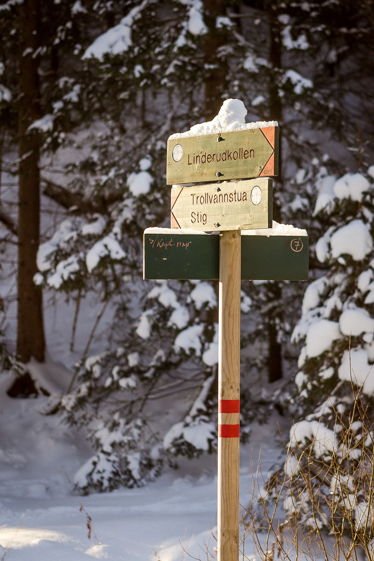 Turmulighetene er mange! Galleribilde