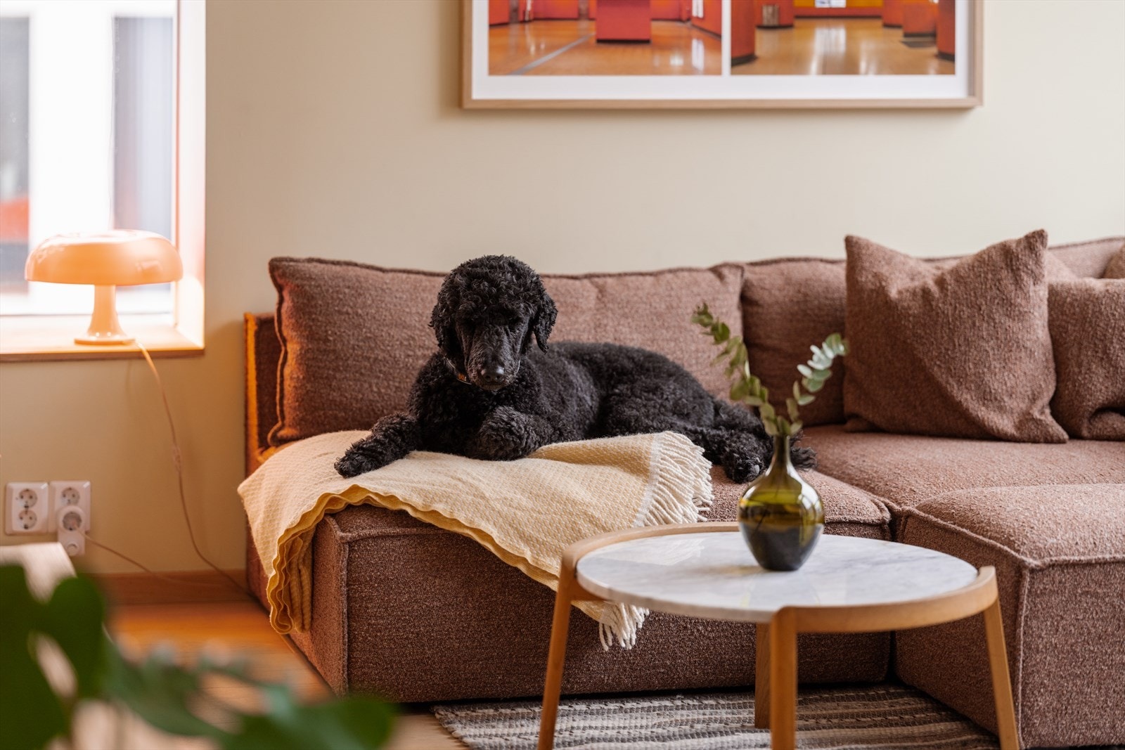 Boligen disponerer en kjellerbod Galleribilde