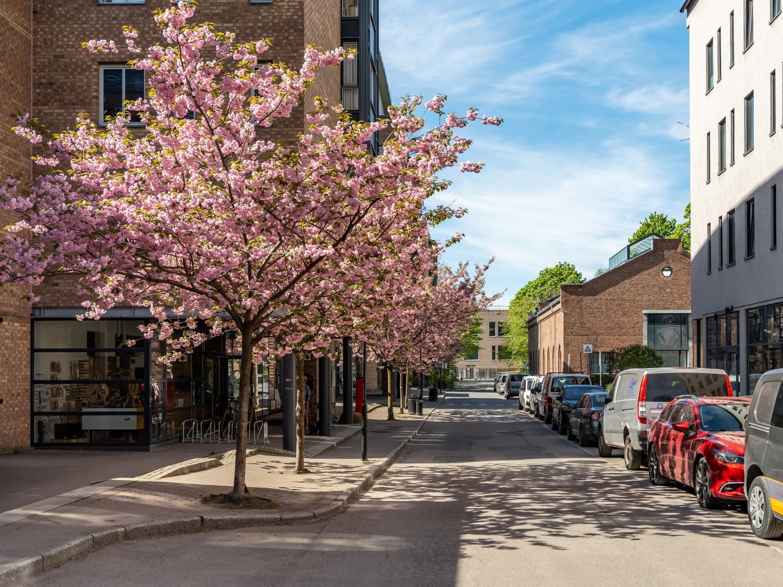Lilleborg!! Herlighet så flott det er her, og snart skal vi endelig få se trærne blomstre her igjen! Galleribilde