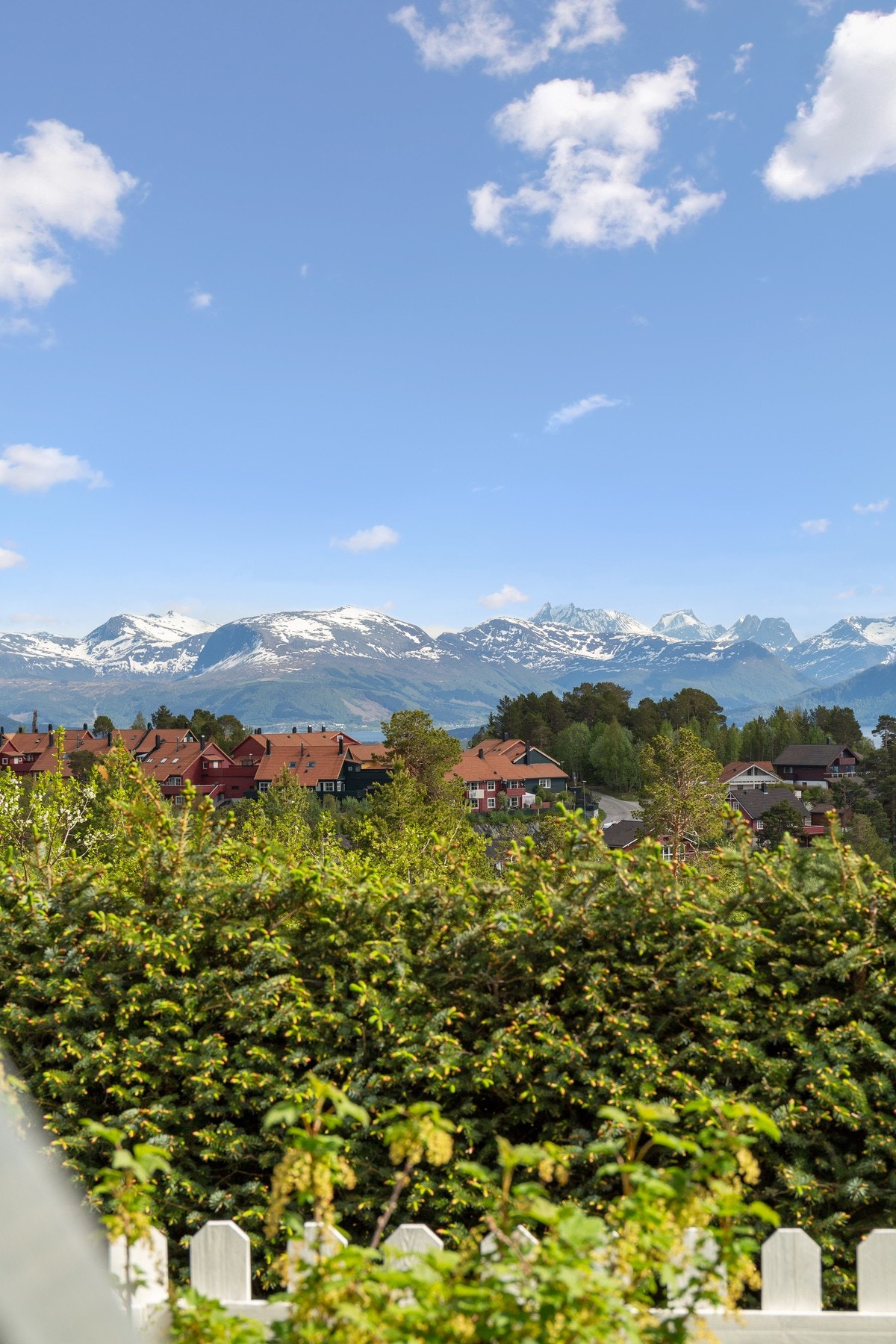 Bilde av utsikt fra 2021. Galleribilde