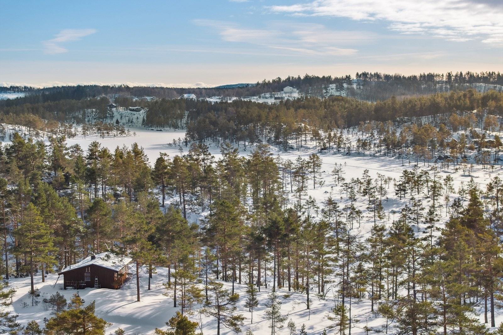 Flotte turforhold i området rundt hytta. Galleribilde