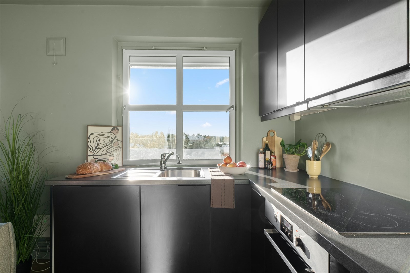 Kjøkkenet er utstyrt med integrerte hvitevarer og ventilator med kullfilter. Galleribilde