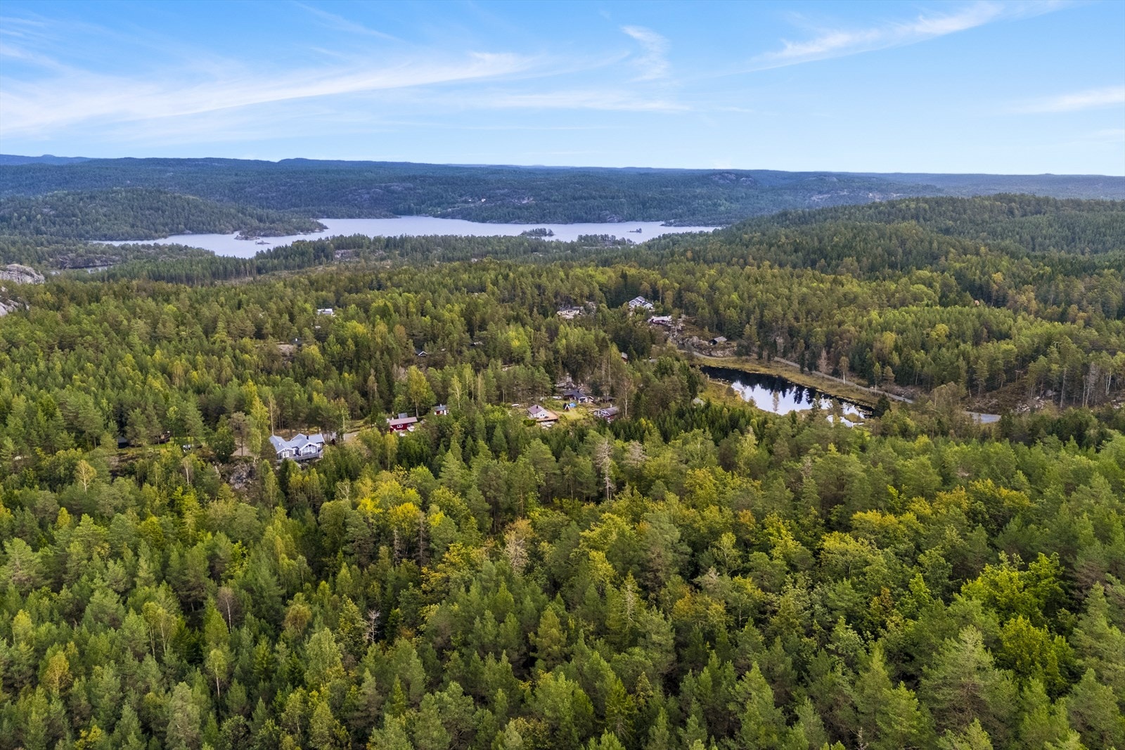 Spennende skogseiendom med fritidsbolig på egen tomt i Risør kommune. Galleribilde