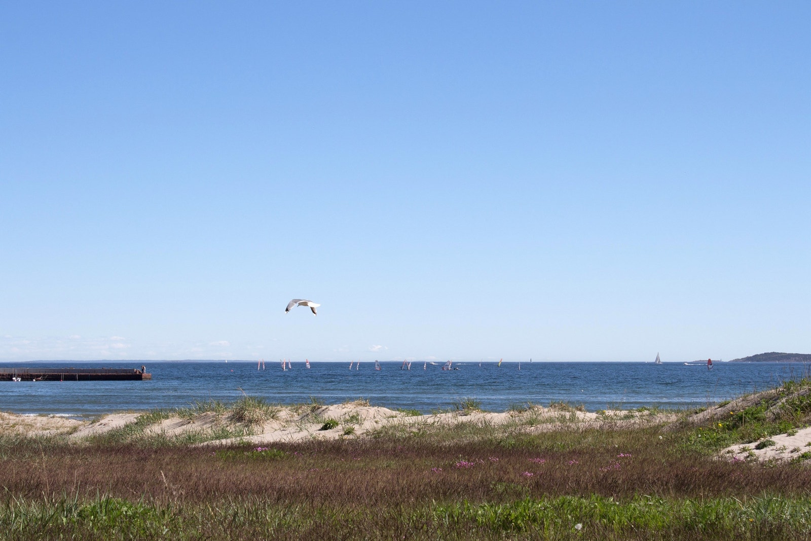 Ringshaug Galleribilde