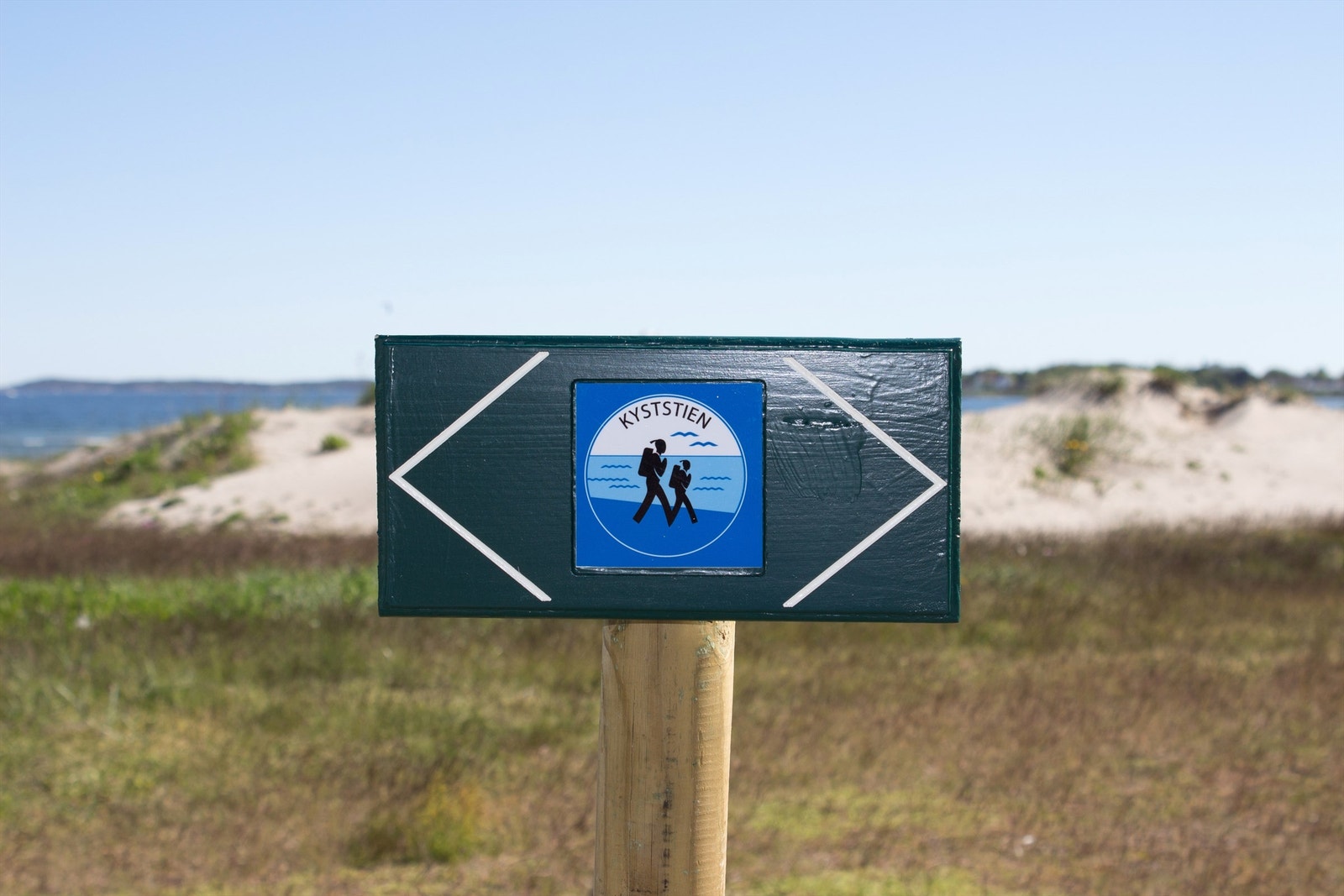 Ringshaug Galleribilde