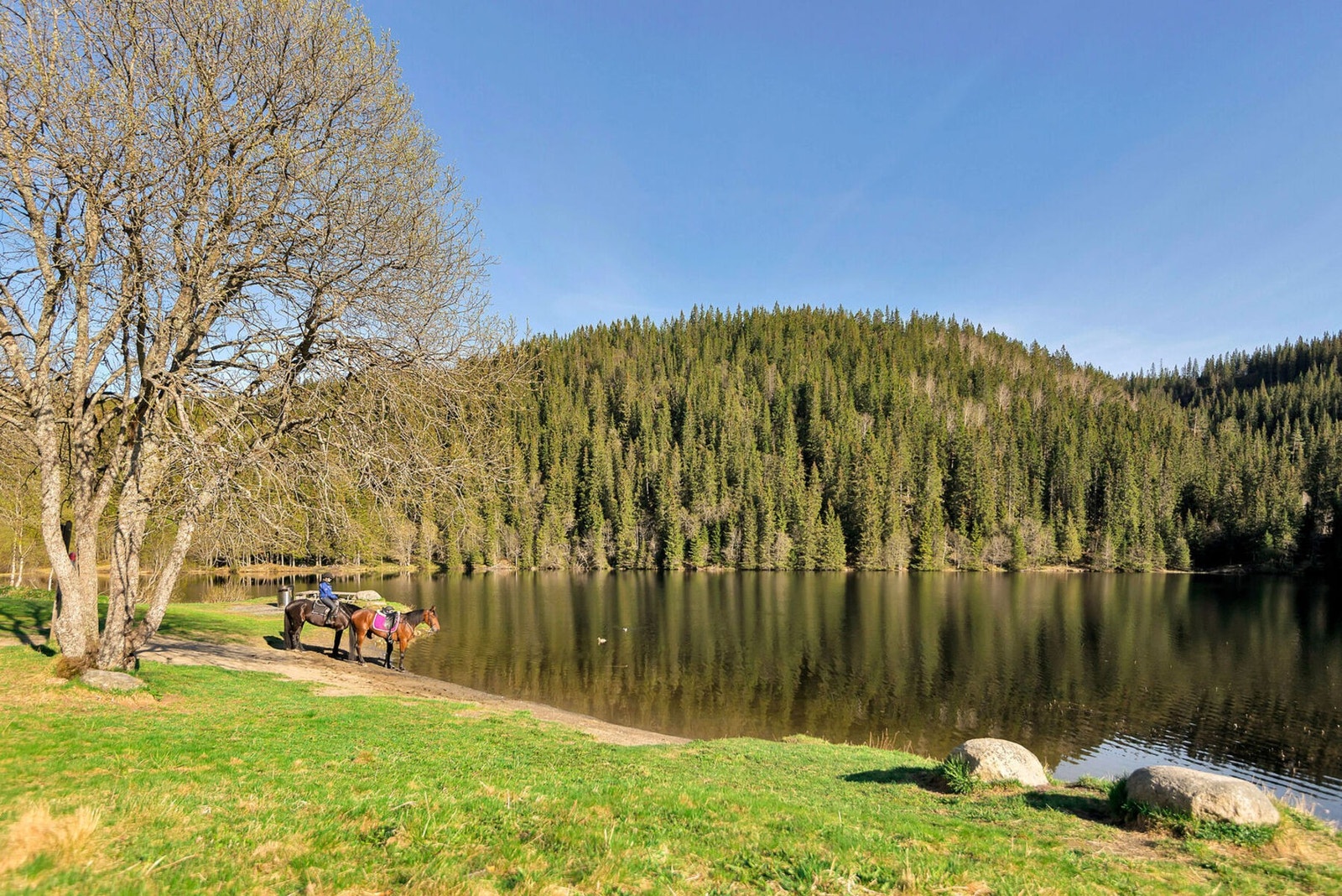 Kort vei til Estenstaddammen. Galleribilde