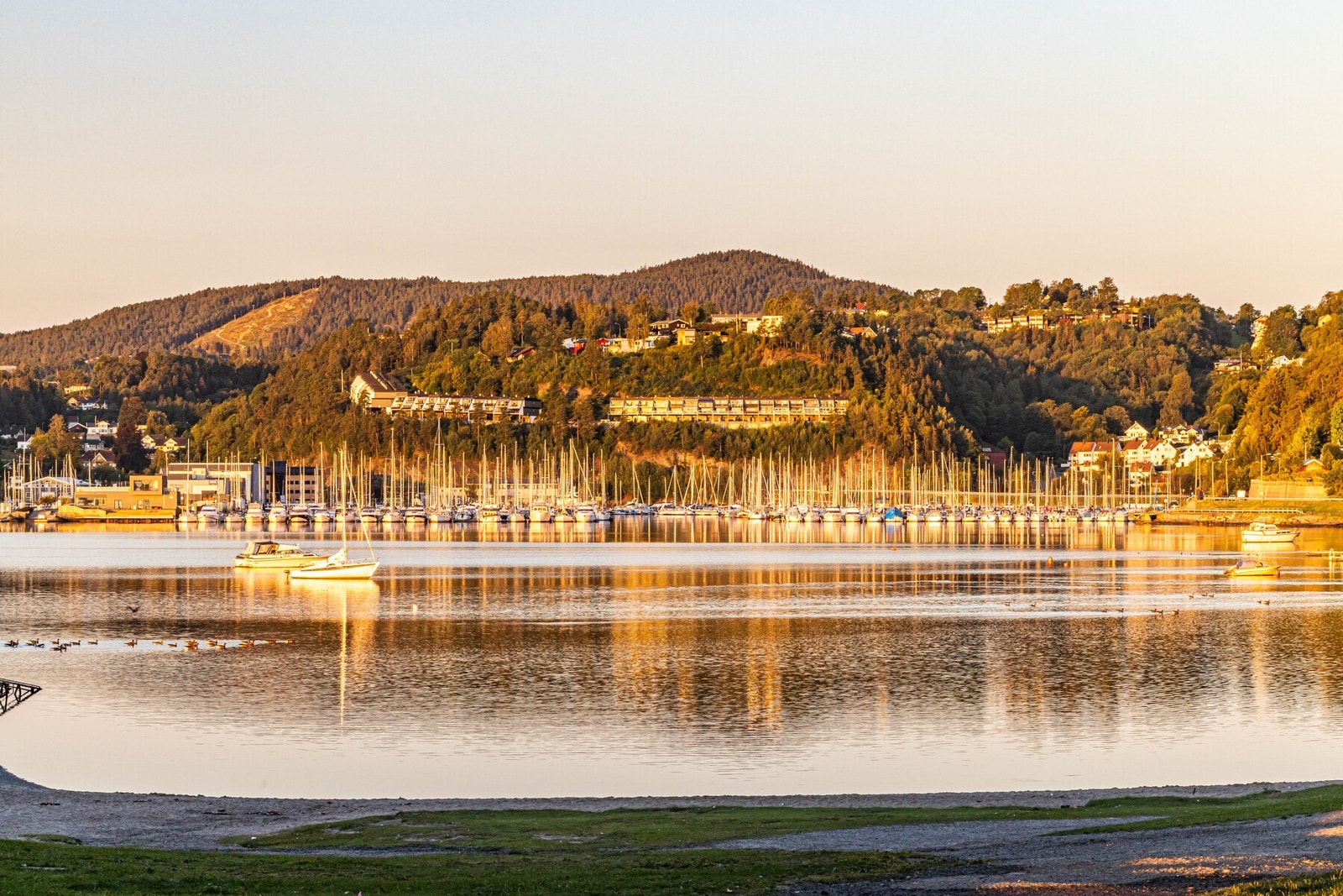 Bilde tatt fra Hvalstrand Bad, mot Leangbukta med rekkehusene i Leanglia i bakkant Galleribilde