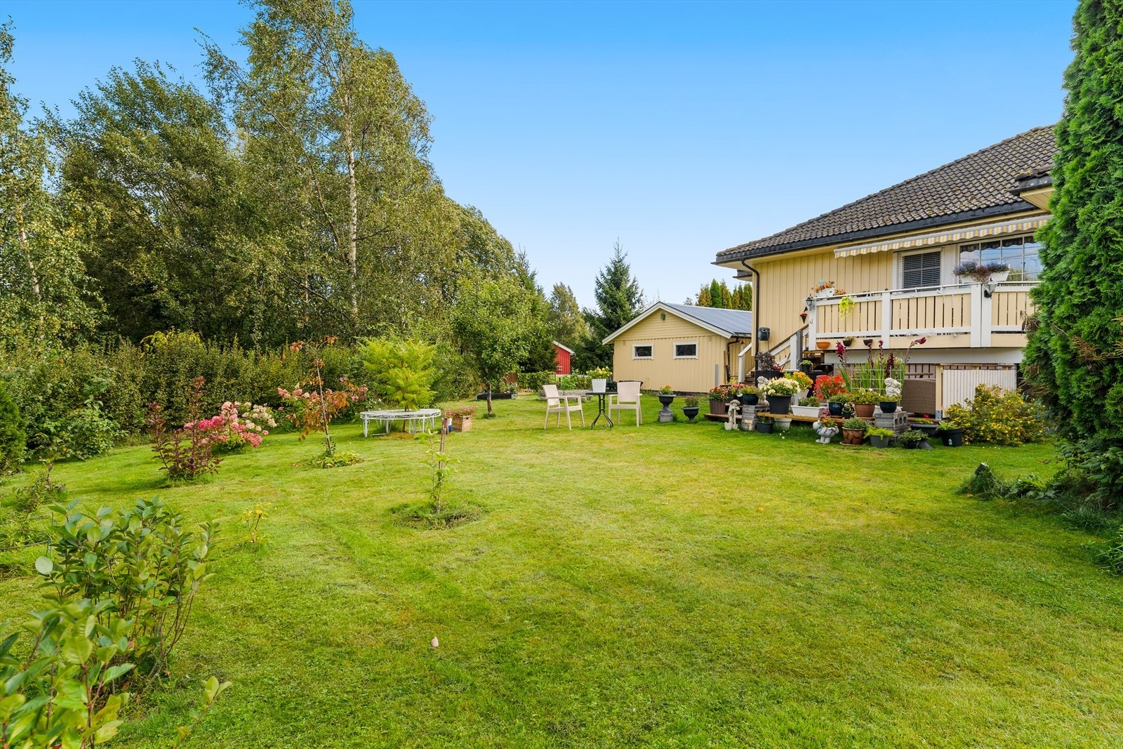 Rikelig med boltreplass for både to- og firbente. Galleribilde