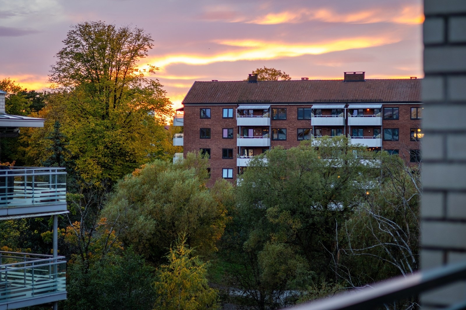 Selgers bilde fra høsten Galleribilde