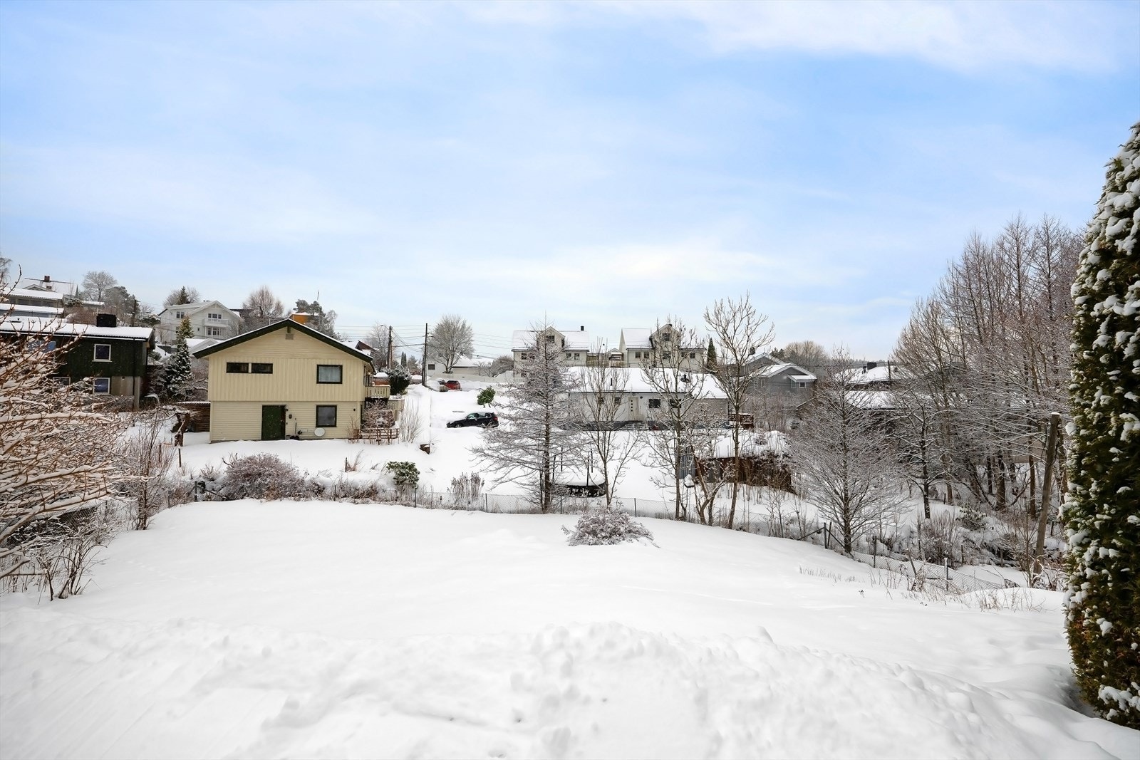 Stor hage Galleribilde