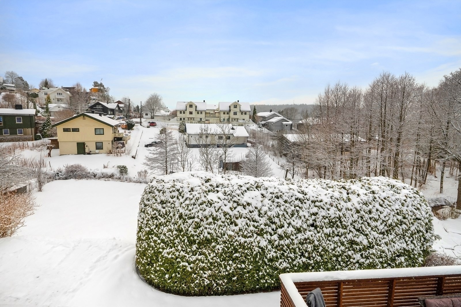 Stor hage Galleribilde