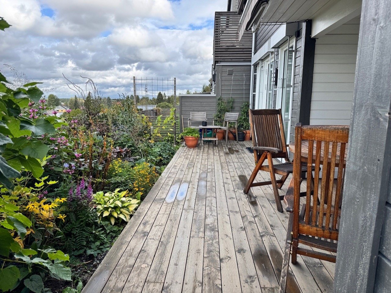 Terrasse høst - med frodig og vel beplantet blomsterhage Galleribilde