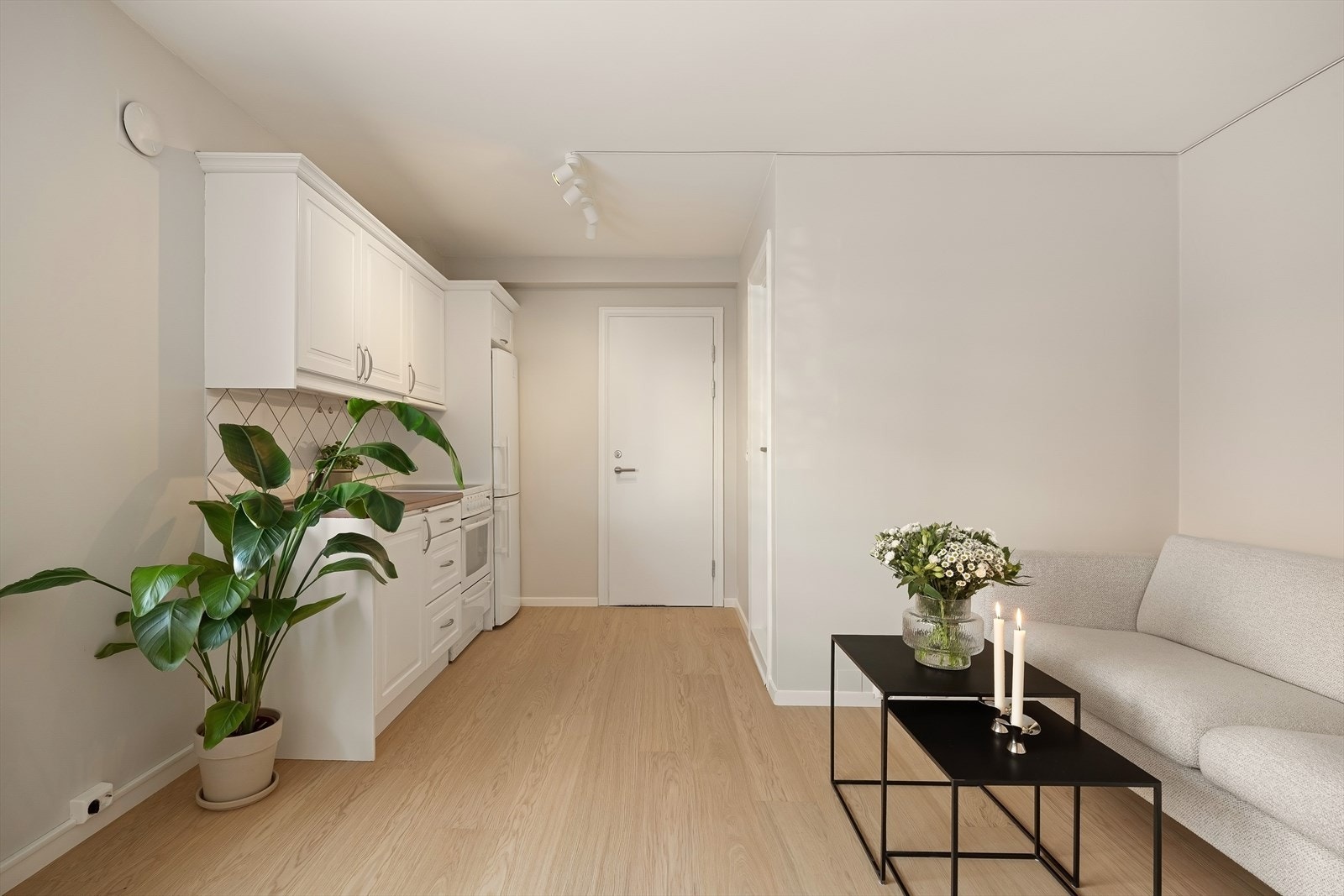 Nye tregulv fra 2026 Galleribilde