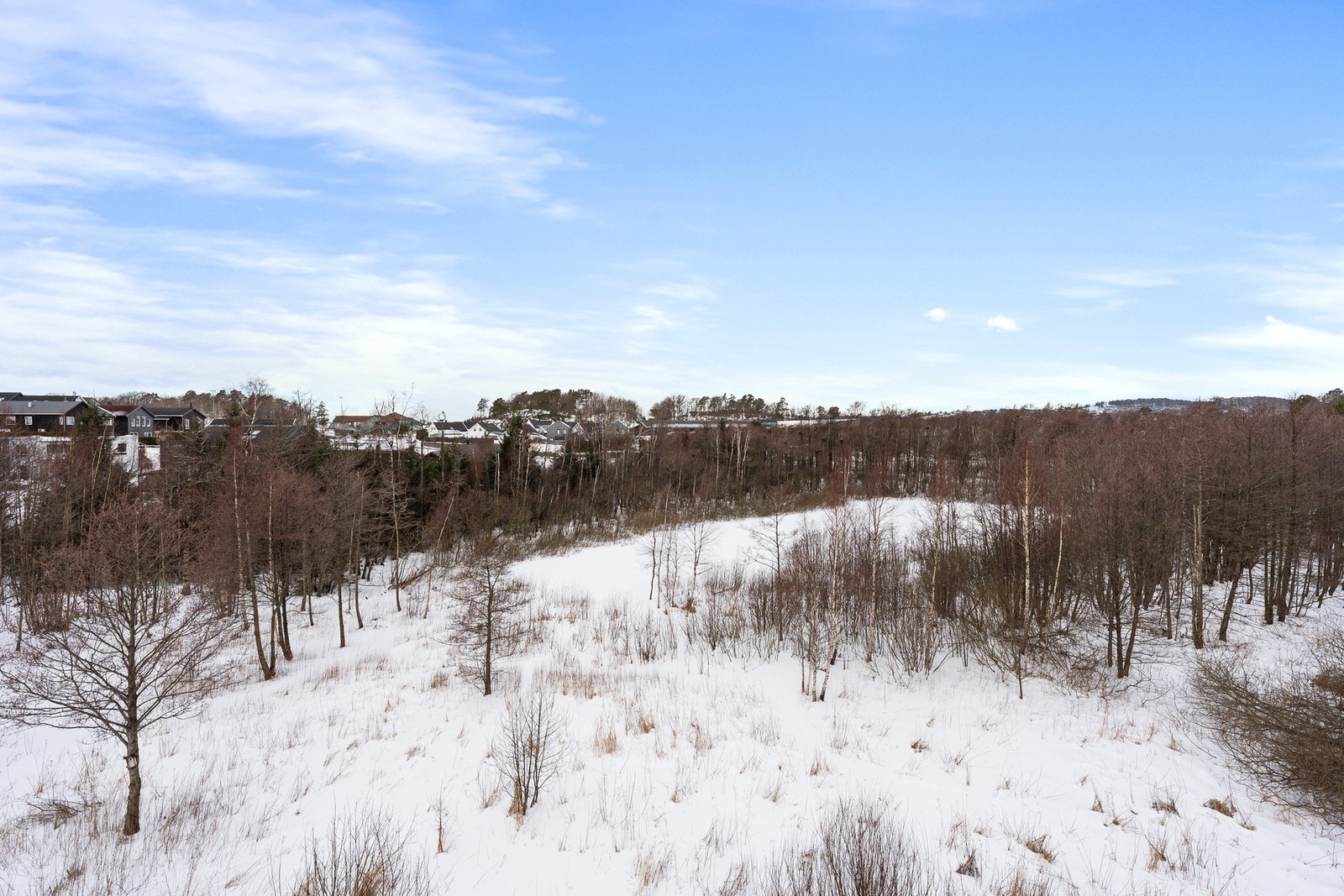 - Området utenfor hagen er et naturvernreservat som gjør at det ikke vil bli bygget noe der | Hyggelig med hegrer på sommeren og populær plass å stå på skøyter på vinteren - Galleribilde