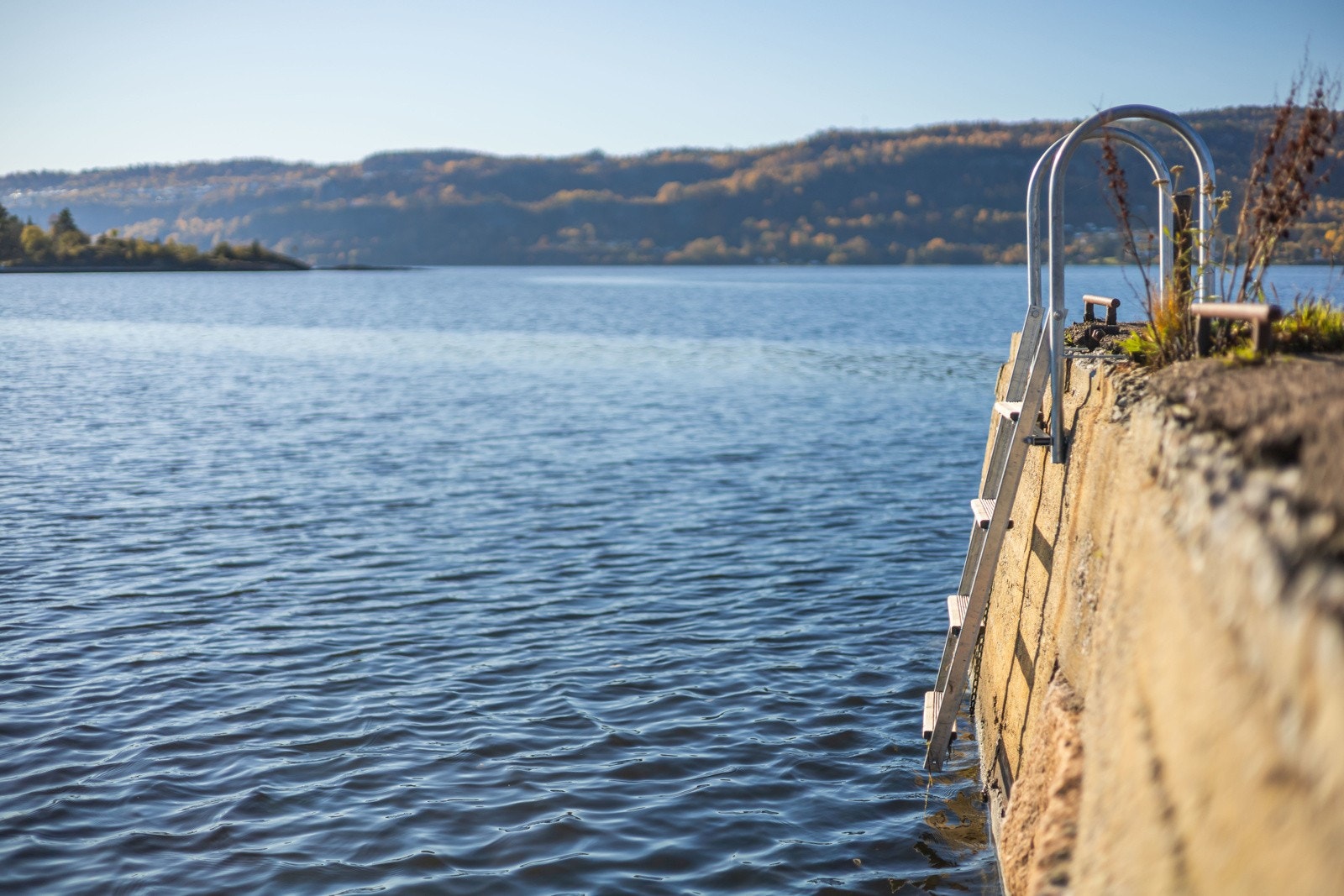 Kort vei til et bad. Stige ned i sjøen rett ved eiendommen. Galleribilde