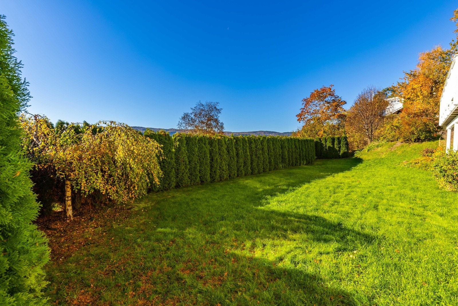Romslig hage med usjenert beliggenhet. Perfekt for familieliv, hageglede og avslappende sommerdager. Galleribilde