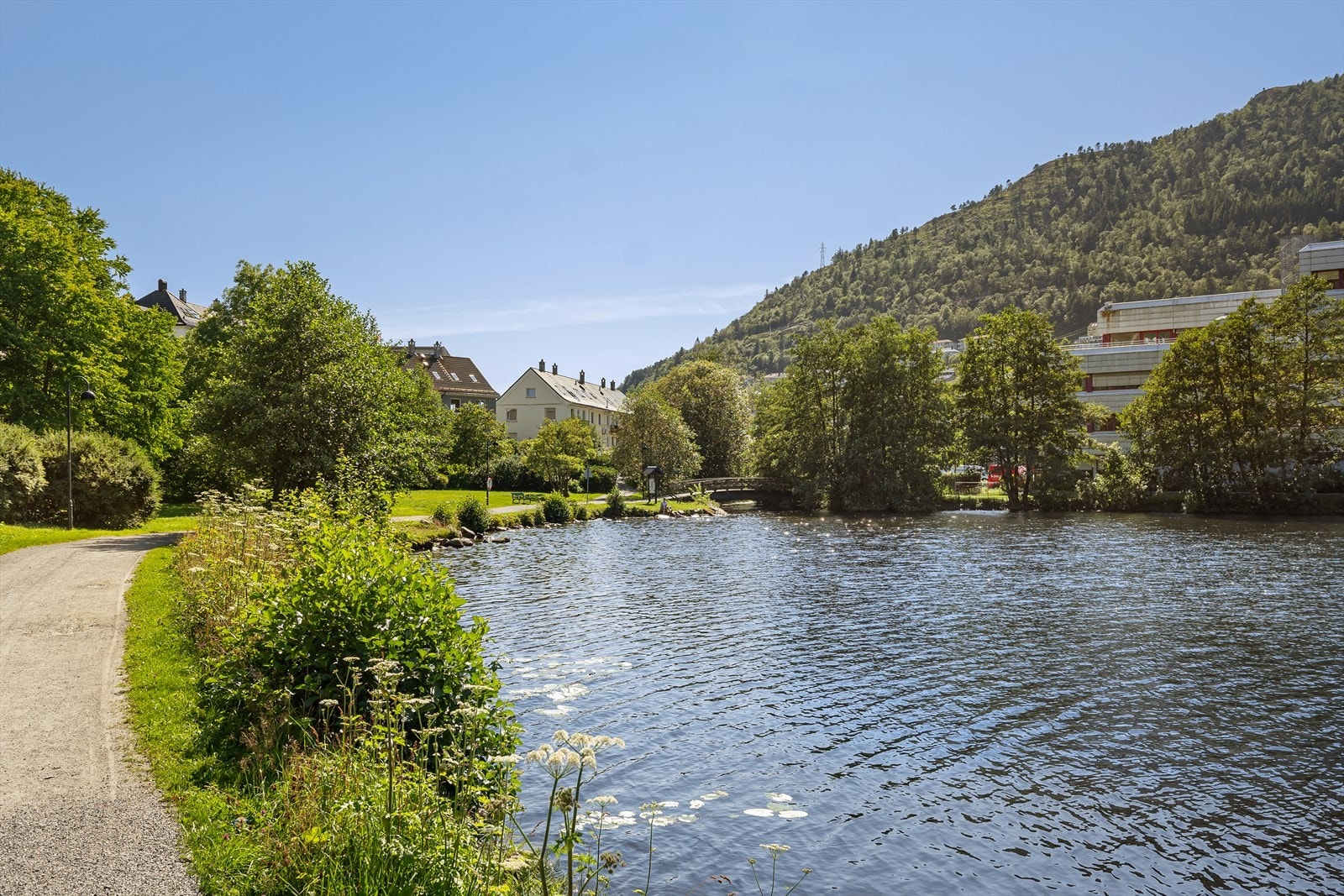 En sjelden kombinasjon av byliv og naturnær beliggenhet. Galleribilde