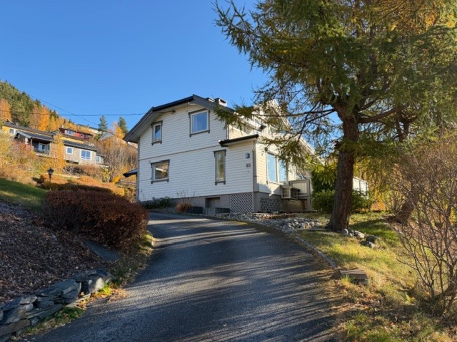 Bilde fra selgers arkiv Galleribilde