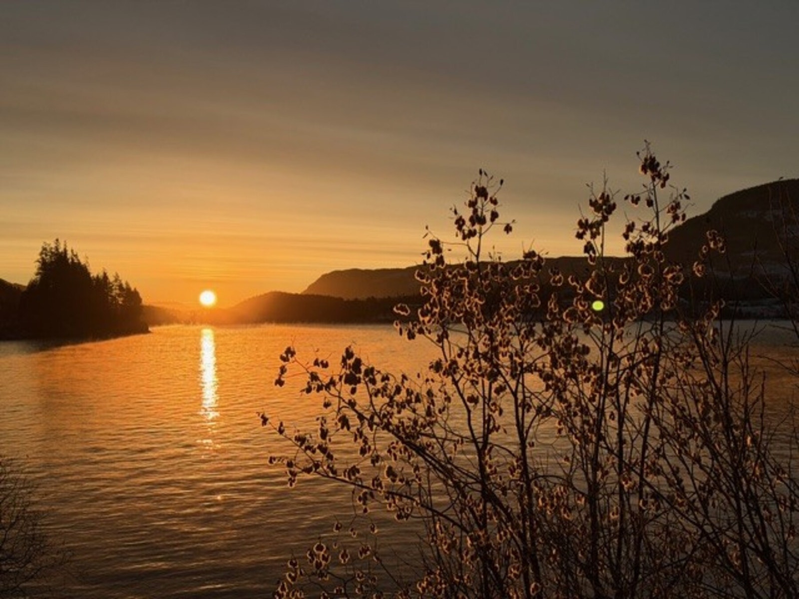 Bilde fra selgers arkiv Galleribilde